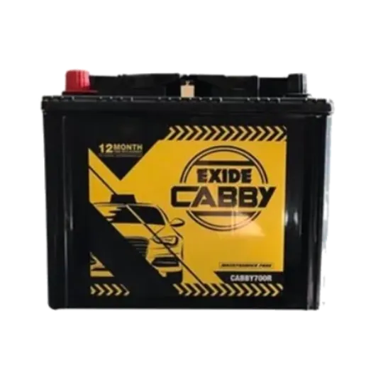 Exide Cabby taxi and commercial car battery